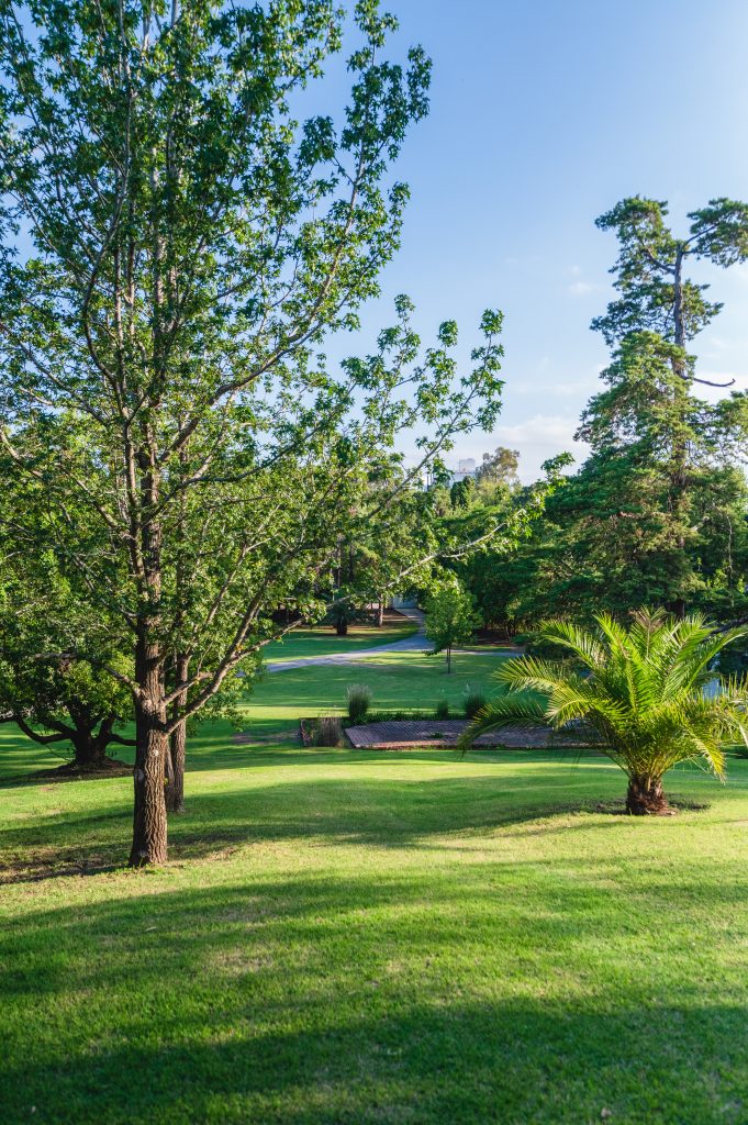 parque de 3 hectáreas de Scratch House